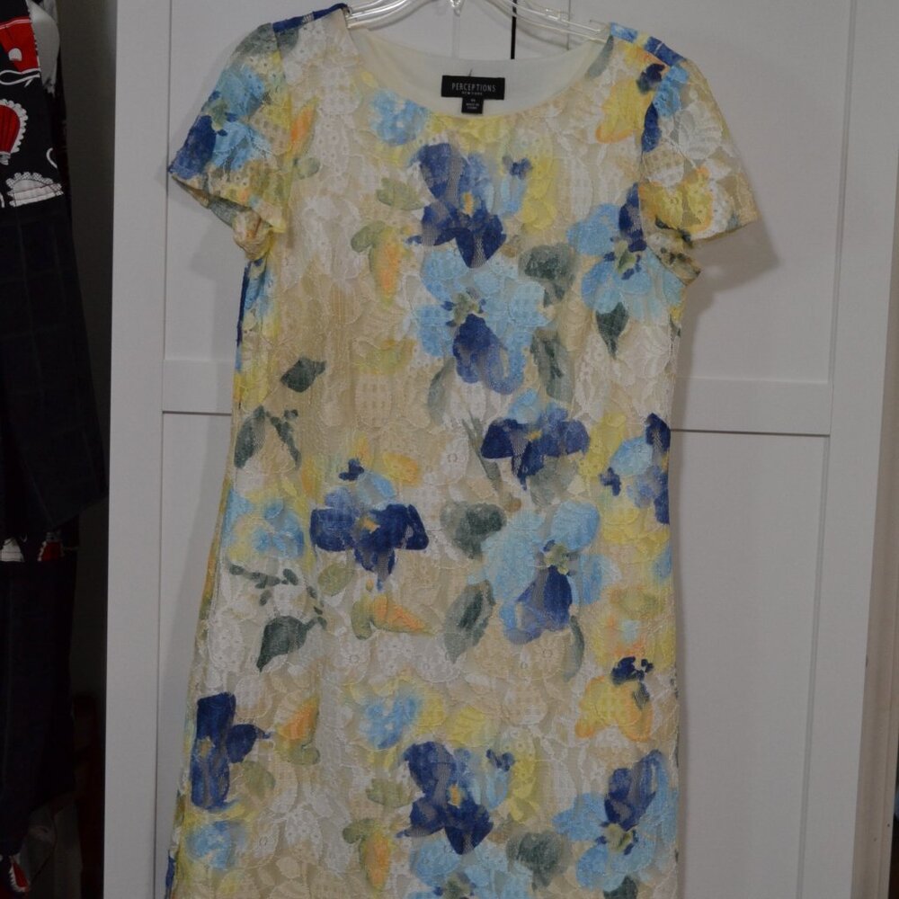 Perceptions dress for women